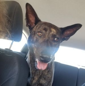 Meet your Posher, Whitney